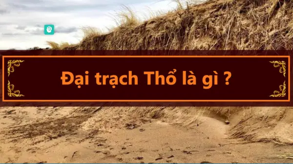 đại trạch thổ là gì