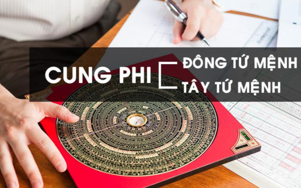 Cung phi là gì