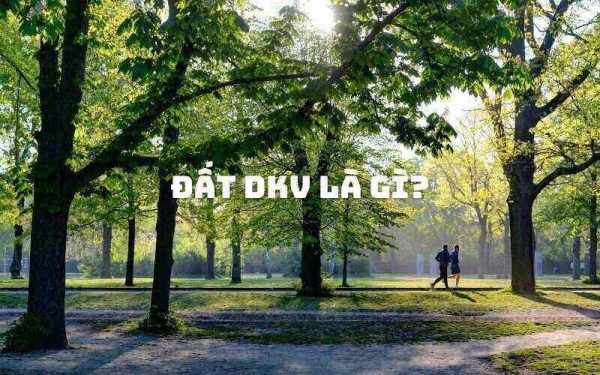 Đất DKV là gì